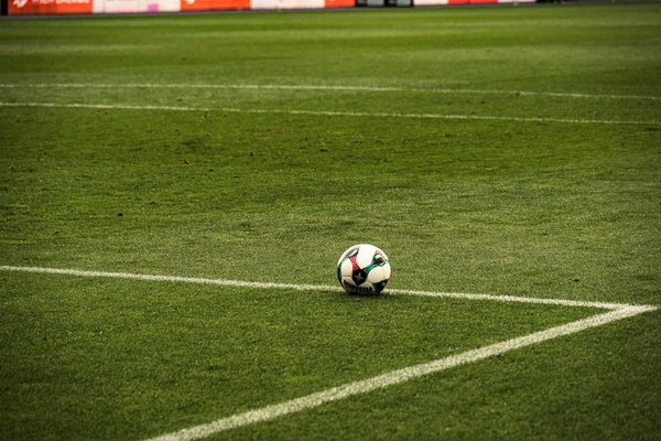 Quels sont les sports émergents qui captivent l'attention du public ?